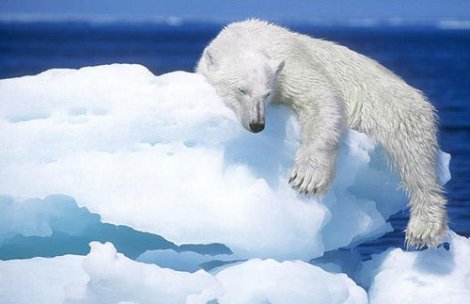 Cambio Climático en el Ártico 