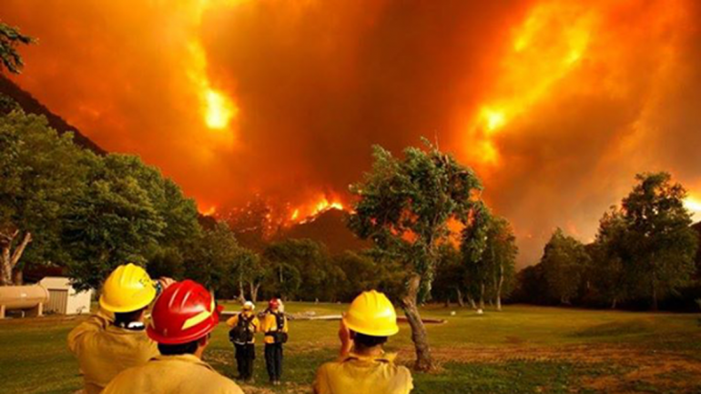 Incendio Forestal en Chubut 