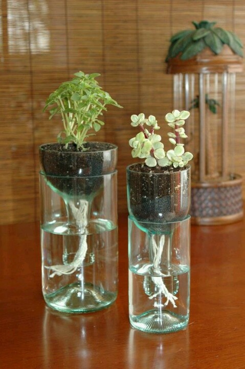 Macetas con frascos de vidrio reciclados 