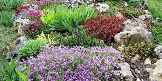 Tips ECO para tener un Jardín Sustentable 