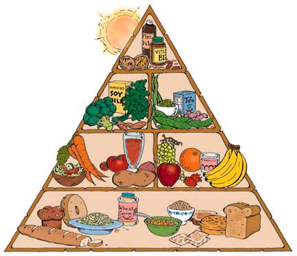 Piramide nutrición vegana 