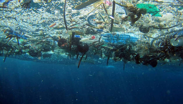 Contaminación por plástico 