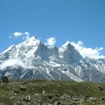 Cambio Climático: Himalaya en peligro