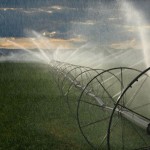 Ahorrar Agua, el desafío del futuro 