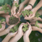 7 actividades para cuidar el ambiente desde la escuela